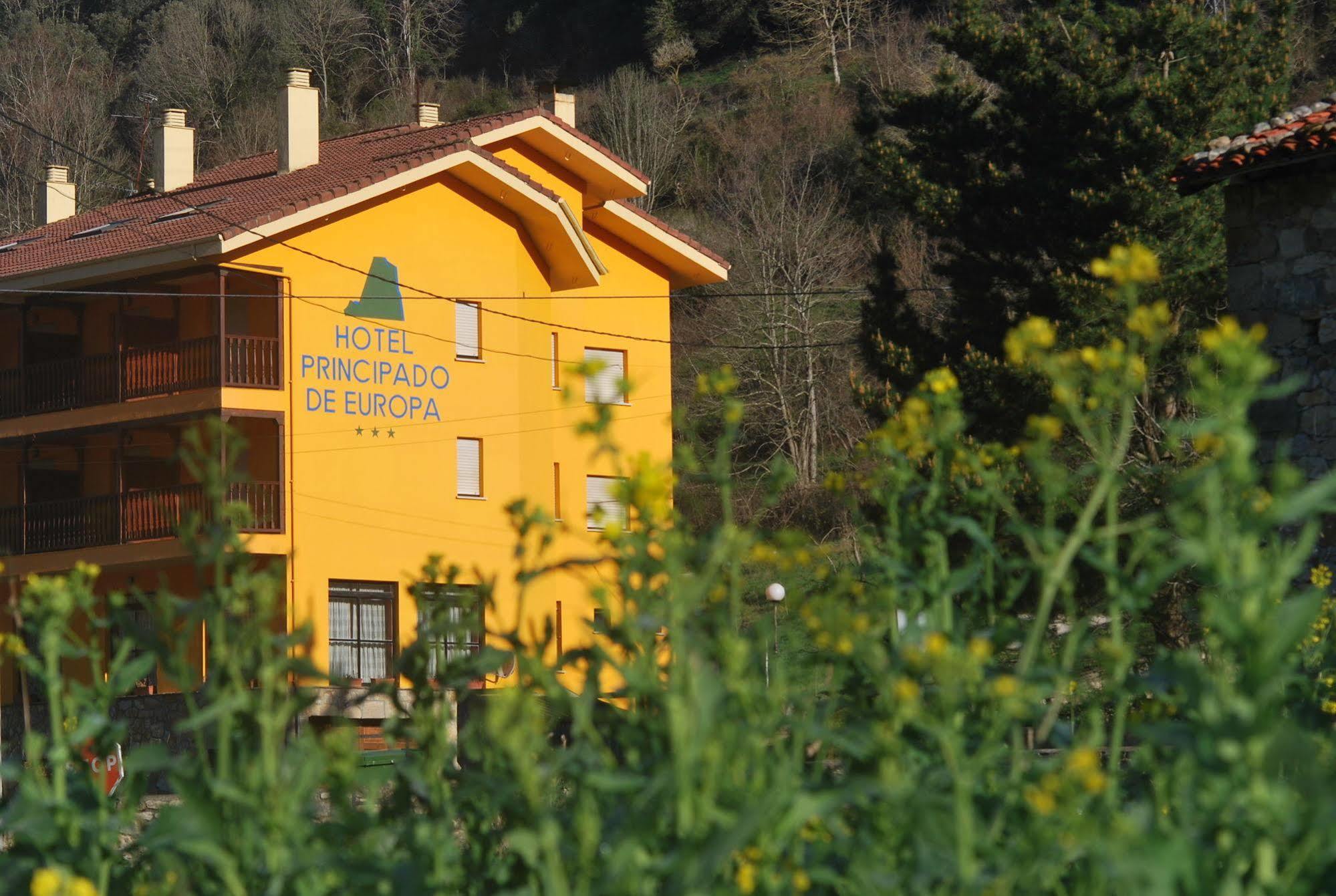 Hotel Principado De Europa Arenas De Cabrales Luaran gambar